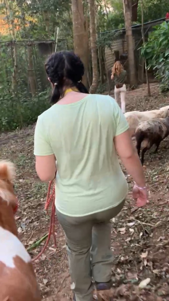 Aimee of Ourtwostepstart walking a pony amongst sheep and pigs