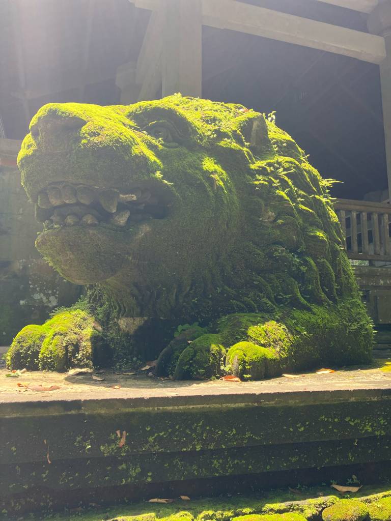 Statue at Tegallanang Rice Terraces