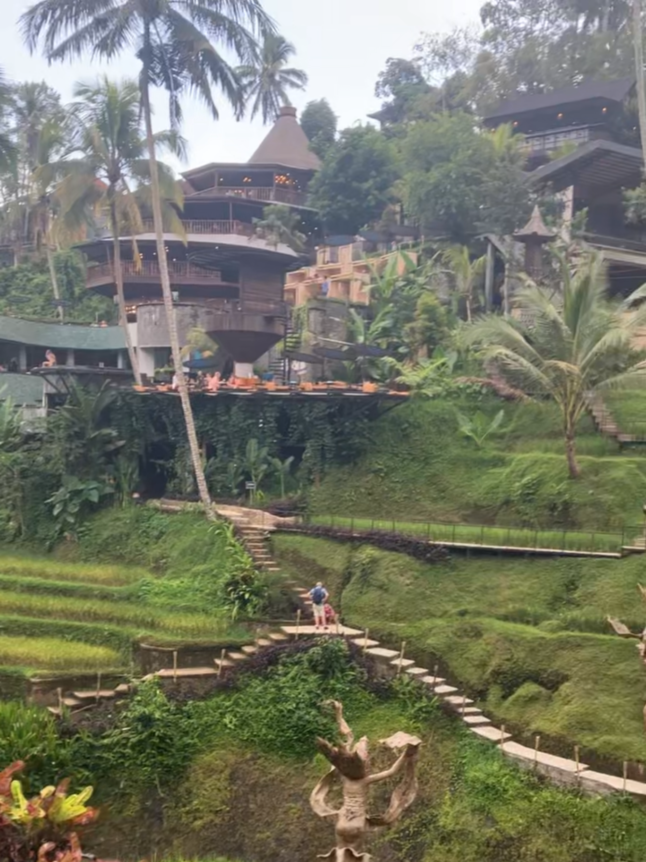 Rice Terraces at Tegallanang in Ubud