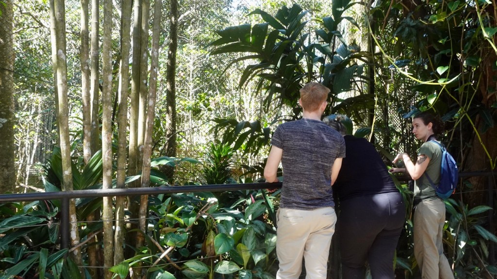 Jack of Ourtwostepstart with Wildlife staff learning about animal observation at Rescate Wildlife Sanctuary