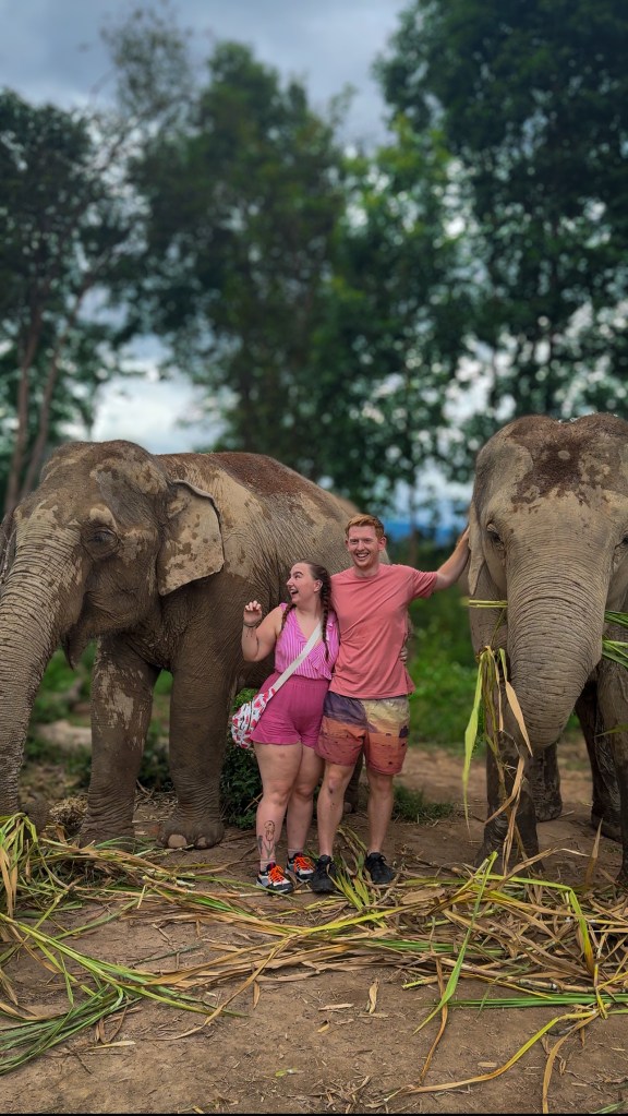 Ethical Elephant Sanctuary trip organised in Chiang Mai.